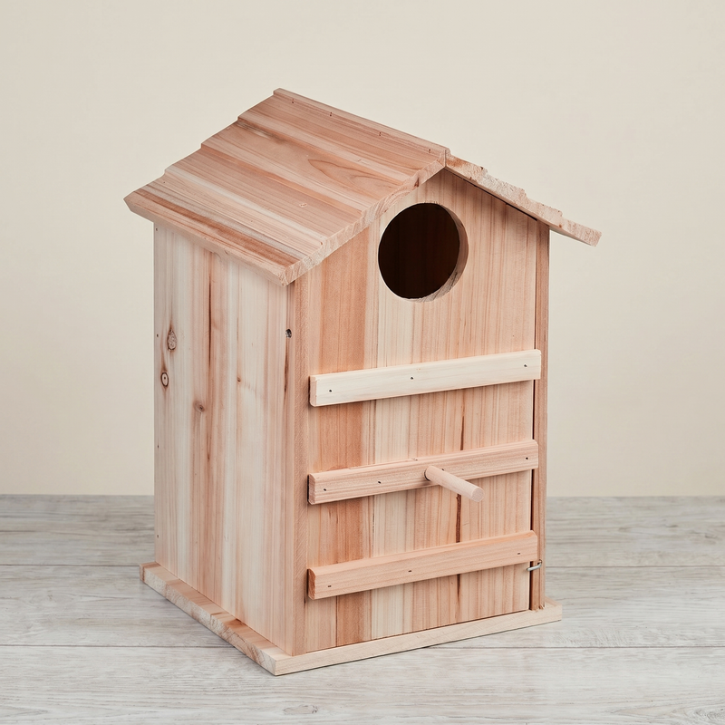 Walt's hand-built pine owl house, studio shot